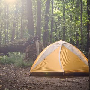 Camping Tent